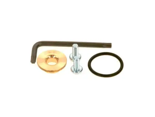 BOSCH Gasdüse mit Zubehörteilen: ein Sechskantschlüssel, eine Unterlegscheibe, eine Schraube und ein O-Ring. Alle Teile auf einem weißen Hintergrund angeordnet.